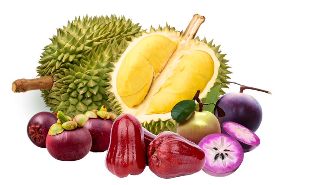 Hạt Đào Thượng Hạng