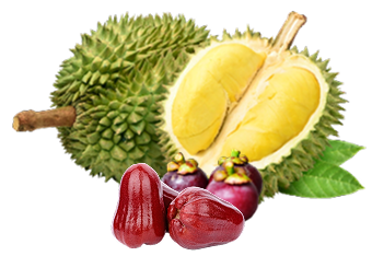 CÔNG TY CỔ PHẦN HẠT ĐÀO DINH DƯỠNG VIỆT NAM